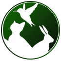Pet Sitting à Genève | Gardiennage et Promenade
