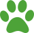 Pet Sitting à Genève | Gardiennage et Promenade